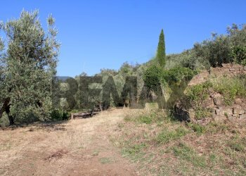 esterno - Rustic Via Mignana
 
65, Vinci - photo 28