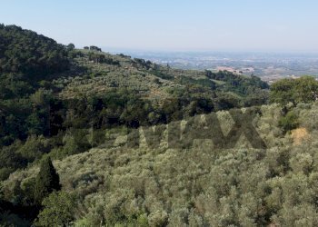panoramica - Rustic Via Mignana
 
65, Vinci - photo 29