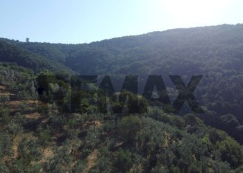 panoramica - Rustic Via Mignana
 
65, Vinci - photo 30