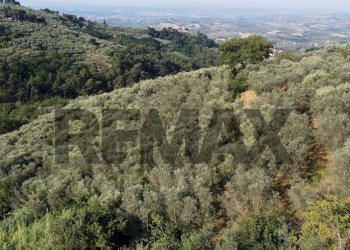 dall\'alto - Rustic Via Mignana
 
65, Vinci - photo 36
