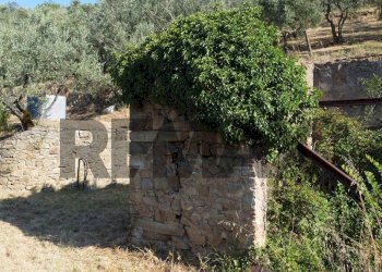 esterno - Rustic Via Mignana
 
65, Vinci - photo 44