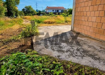 Giardino - Rustic via Casilina sud
 
snc, Marzano Appio - photo 21