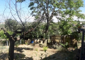 Giardino - Semi-detached house c/da Ranco
 
24, Paglieta - photo 38