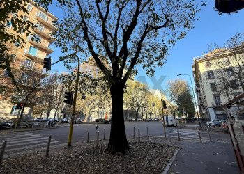 Edificio all\'aperto - Three-room apartment Via Principe Eugenio
36, Milano - photo 42