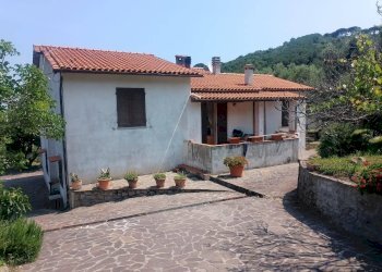 Foto 4 - Semi-detached house Marciana Marina - photo 4
