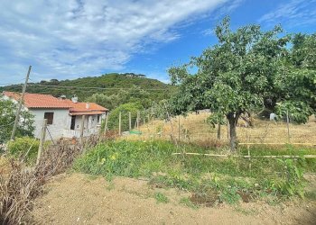 Foto 7 - Semi-detached house Marciana Marina - photo 7