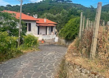 Foto 29 - Semi-detached house Marciana Marina - photo 29