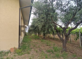 Giardino - Villa Località Carloni
 
10, Arielli - foto 9