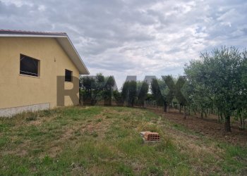 Giardino - Villa Località Carloni
 
10, Arielli - foto 10