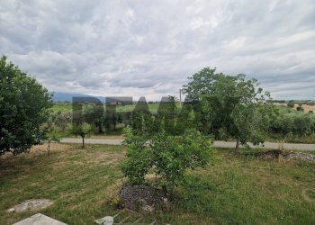 Giardino - Villa Località Carloni
 
10, Arielli - foto 29