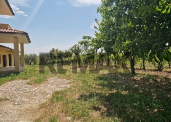 Giardino - Villa Località Carloni
 
10, Arielli - foto 57