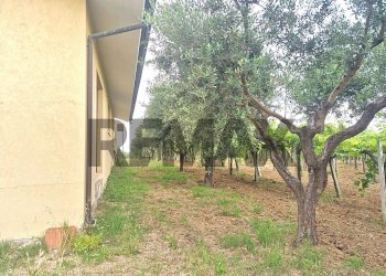 Giardino - Villa Località Carloni
 
10, Arielli - foto 74