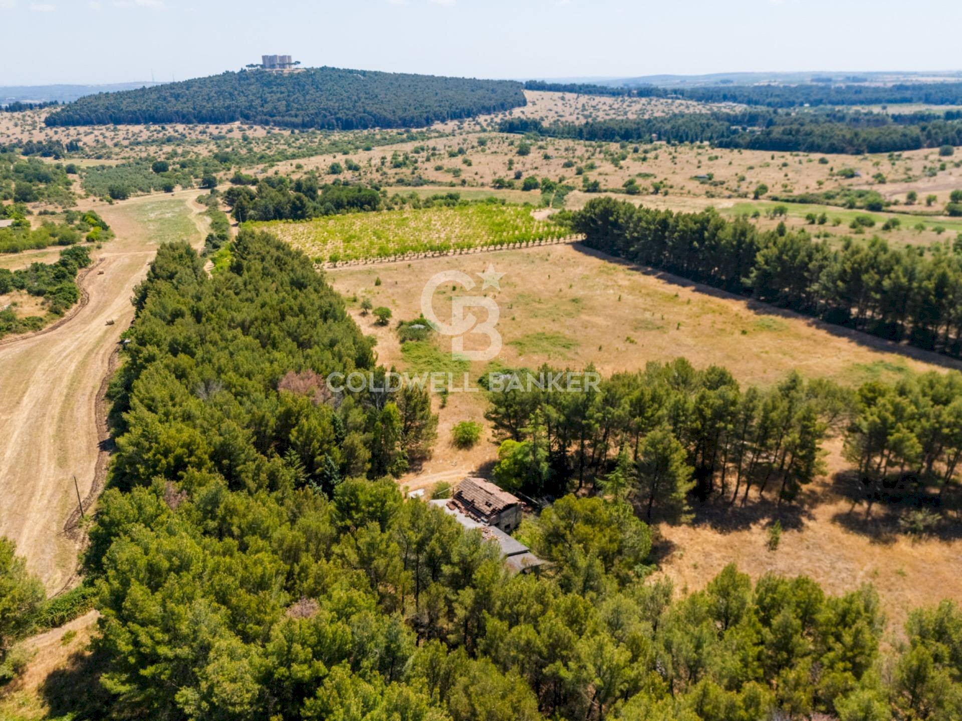 Foto 1 - Rustic CONTRADA CASTEL DEL MONTE
 
SN, Andria - photo 1