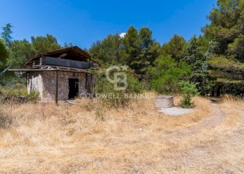 Foto 4 - Rustic CONTRADA CASTEL DEL MONTE
SN, Andria - photo 4