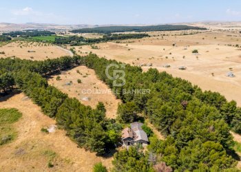 Foto 5 - Rustic CONTRADA CASTEL DEL MONTE
SN, Andria - photo 5