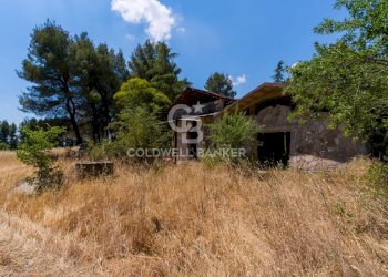 Foto 7 - Rustic CONTRADA CASTEL DEL MONTE
SN, Andria - photo 7