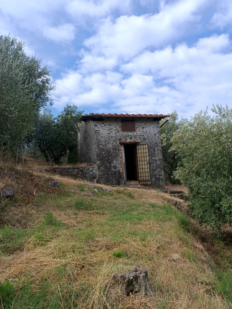 IMG_20260706_094612 - Rustico Massarosa - foto 2