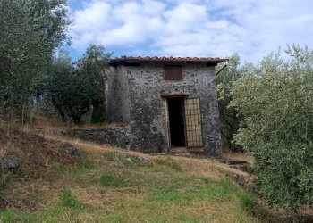 IMG_20260706_094612 - Rustico Massarosa - foto 2