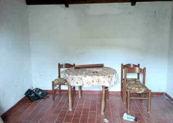 IMG_20260706_094356 - Rustico Massarosa - foto 4