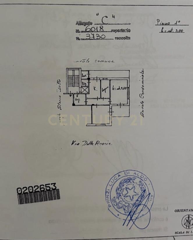PLANIMETRIA VIA DELLE ACACIE 9 - Quadrilocale Via delle Acacie 9, Catania - planimetria 1