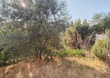 terreno - Villa Località Bilegno 29, Pianello Val Tidone - photo 26