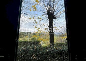 Apartment Buggiano - photo 29