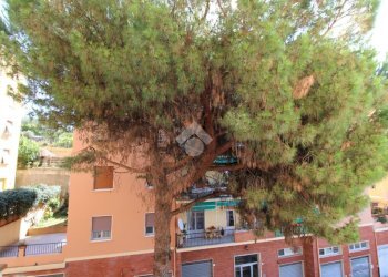 Trilocale Viale A. Devoto, Chiavari - foto 30