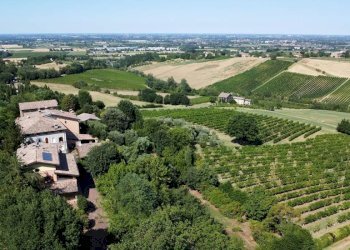 Villa Castelvetro di Modena - photo 25