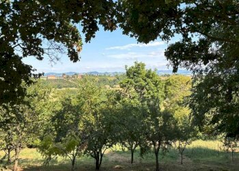 Villa Castelvetro di Modena - photo 4