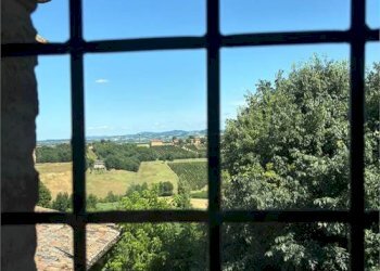 Villa Castelvetro di Modena - photo 17