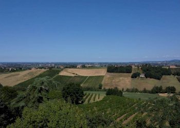Villa Castelvetro di Modena - photo 26