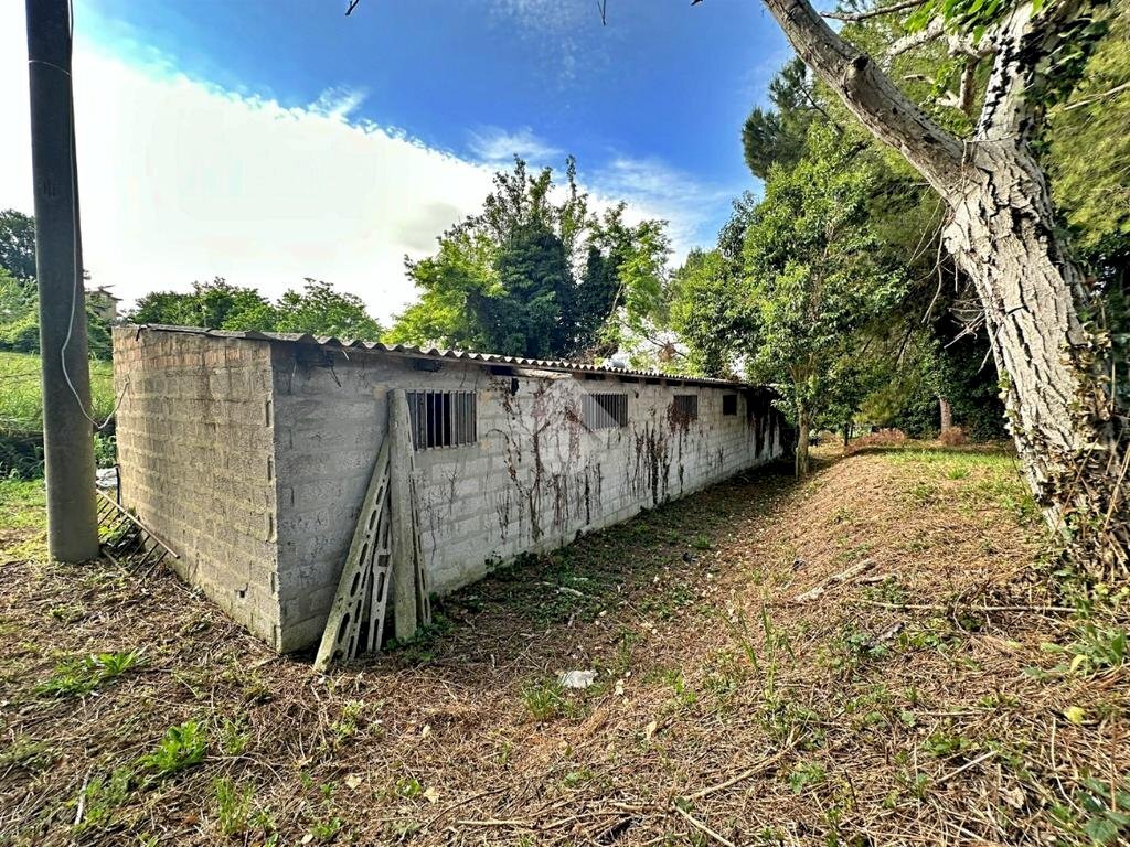 Rustic Via Roma, Tavullia - photo 1