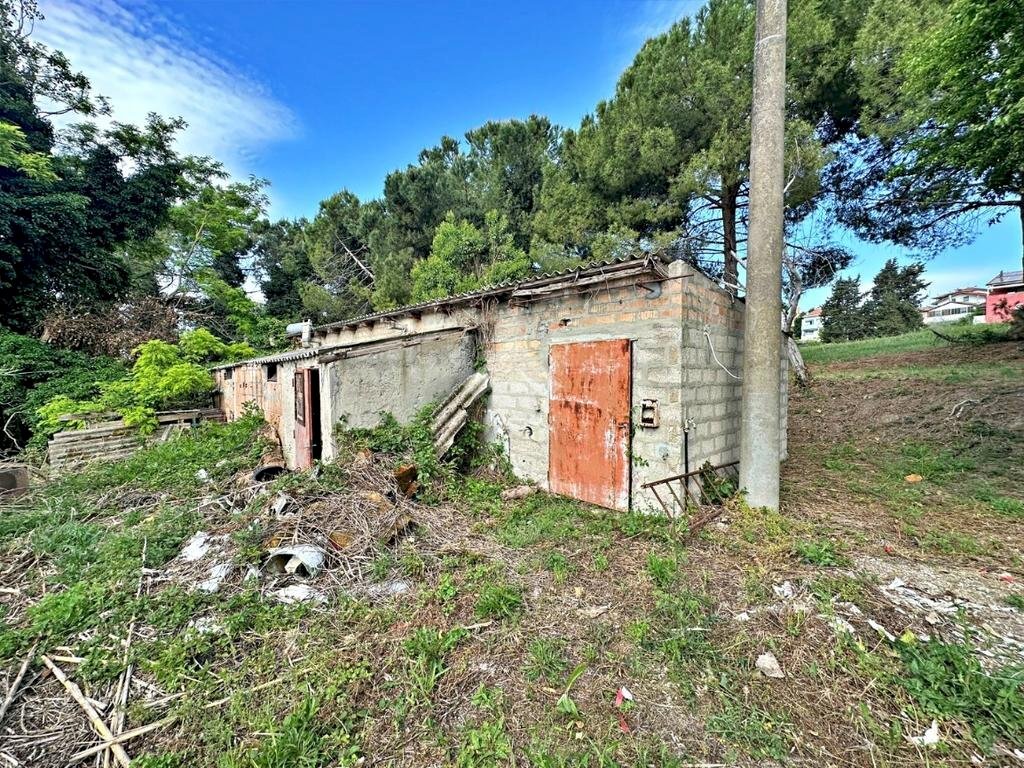 Rustic Via Roma, Tavullia - photo 2