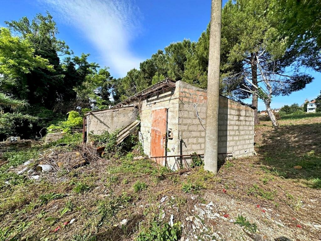 Rustic Via Roma, Tavullia - photo 3