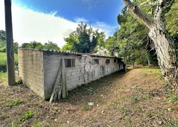 Rustic Via Roma, Tavullia - photo 1