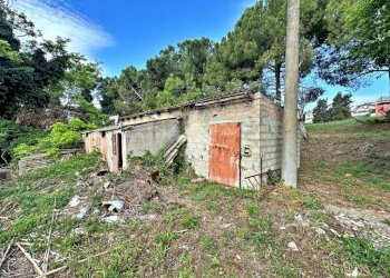 Rustic Via Roma, Tavullia - photo 2