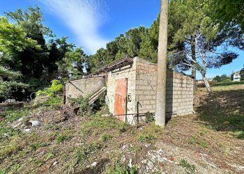 Rustic Via Roma, Tavullia - photo 3