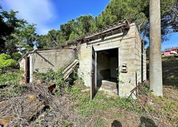 Rustic Via Roma, Tavullia - photo 4