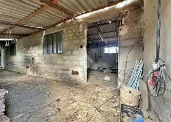 Rustic Via Roma, Tavullia - photo 7