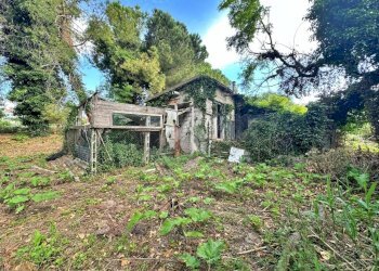 Rustic Via Roma, Tavullia - photo 8