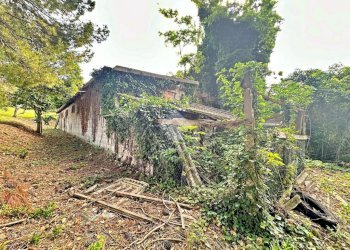 Rustic Via Roma, Tavullia - photo 11