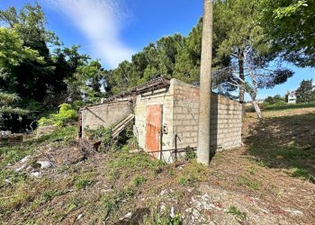 Rustic Via Roma, Tavullia - photo 12