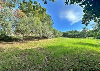 Rustic Via Roma, Tavullia - photo 17