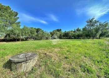 Rustic Via Roma, Tavullia - photo 18