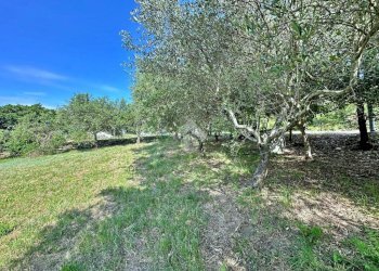 Rustic Via Roma, Tavullia - photo 20