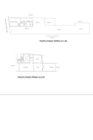 Stabile - Palazzo Venezia - planimetria 1