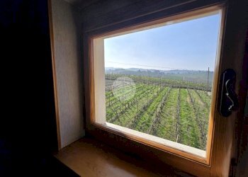 Villa Frazione san martino, Castiglione Tinella - foto 15