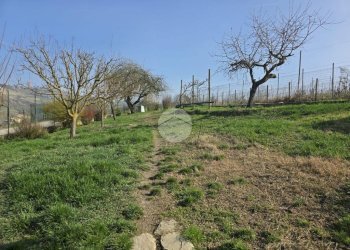 Villa Frazione san martino, Castiglione Tinella - foto 21