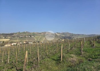 Villa Frazione san martino, Castiglione Tinella - foto 29