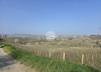Villa Frazione san martino, Castiglione Tinella - foto 43